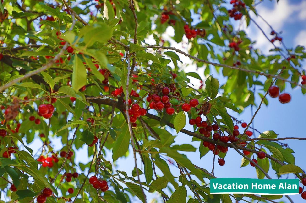 Vacation Home Alan 2 Kulen Vakuf Zewnętrze zdjęcie